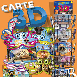 cartes-3d